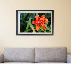 Lilly Contemporary flower photo artwork wall art